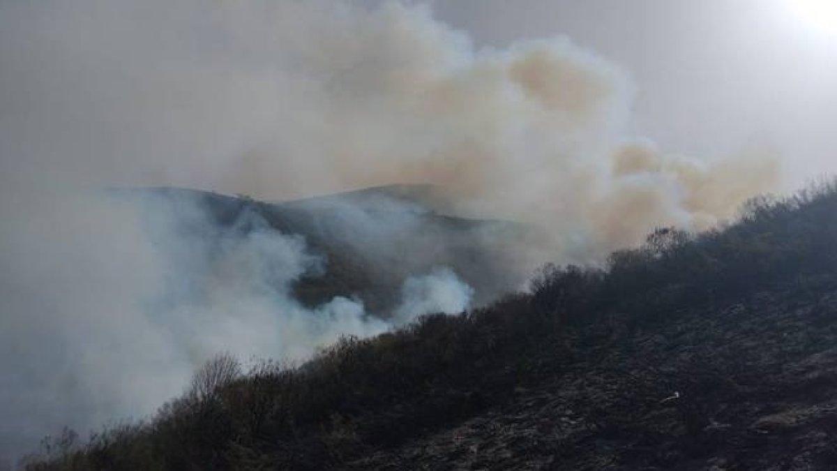Imagen de archivo del incendio en Tonín de Arbás. INFOCYL