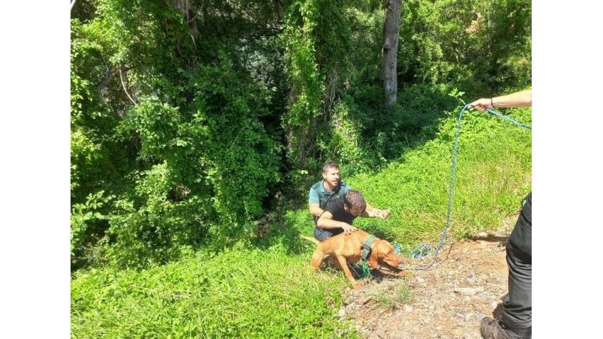 Un perro y su dueño son rescatados por la Guardia Civil de Cistierna. CAMPOS