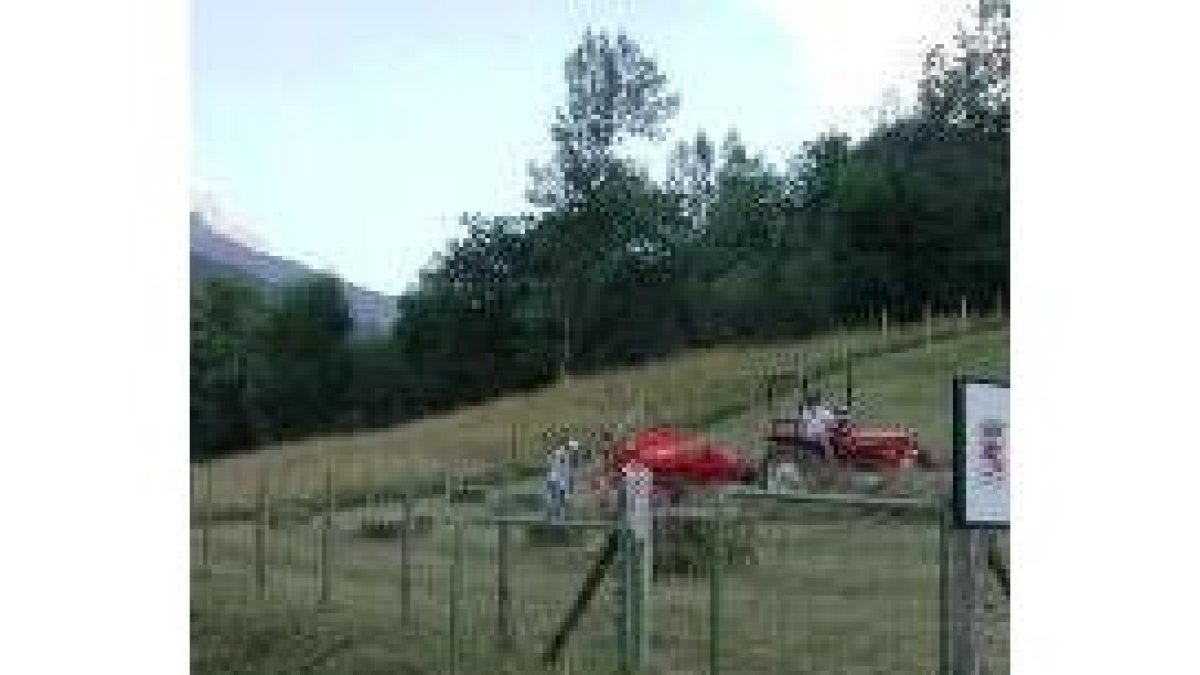 Tareas de recogida y almacenaje de hierba en los Picos de Europa leoneses