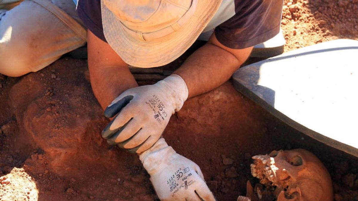 Última exhumación realizada el año pasado por los voluntarios en la zona de Valdueza.