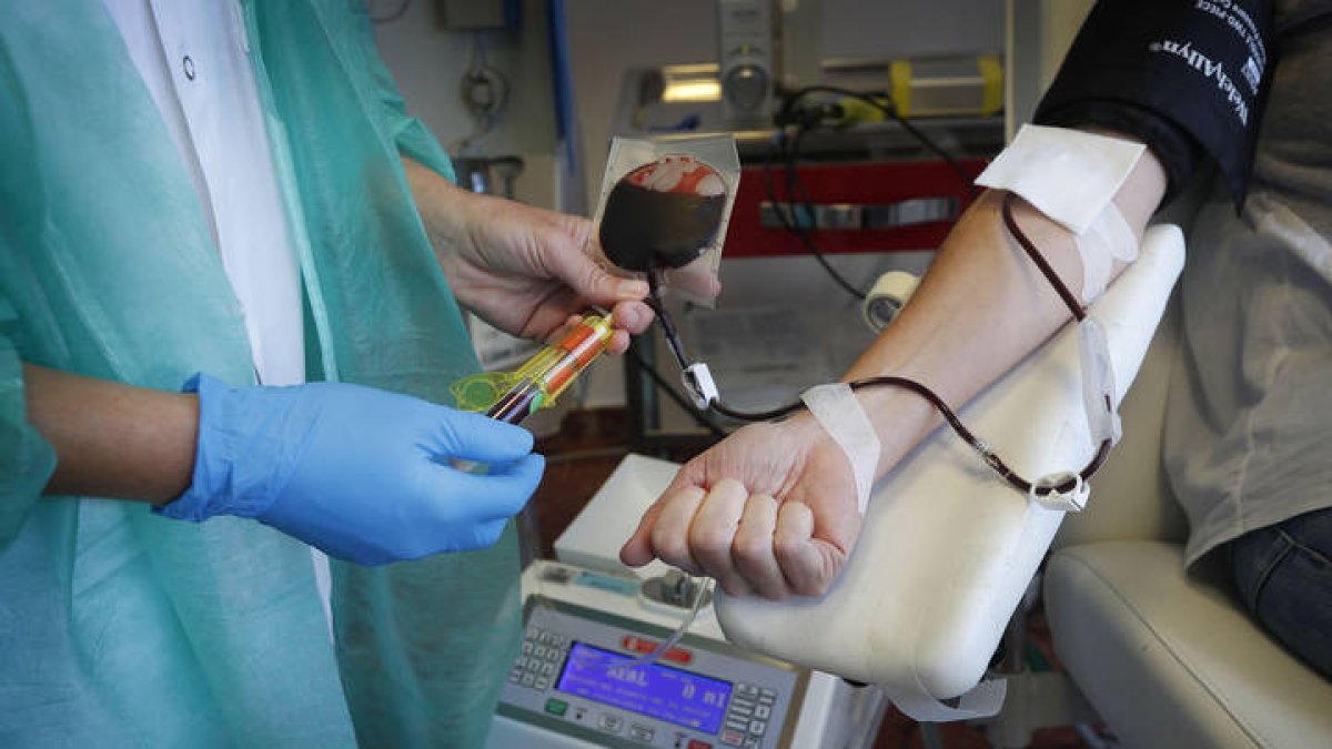 Una enfermera en una donación de plasma. JESÚS F. SALVADORES