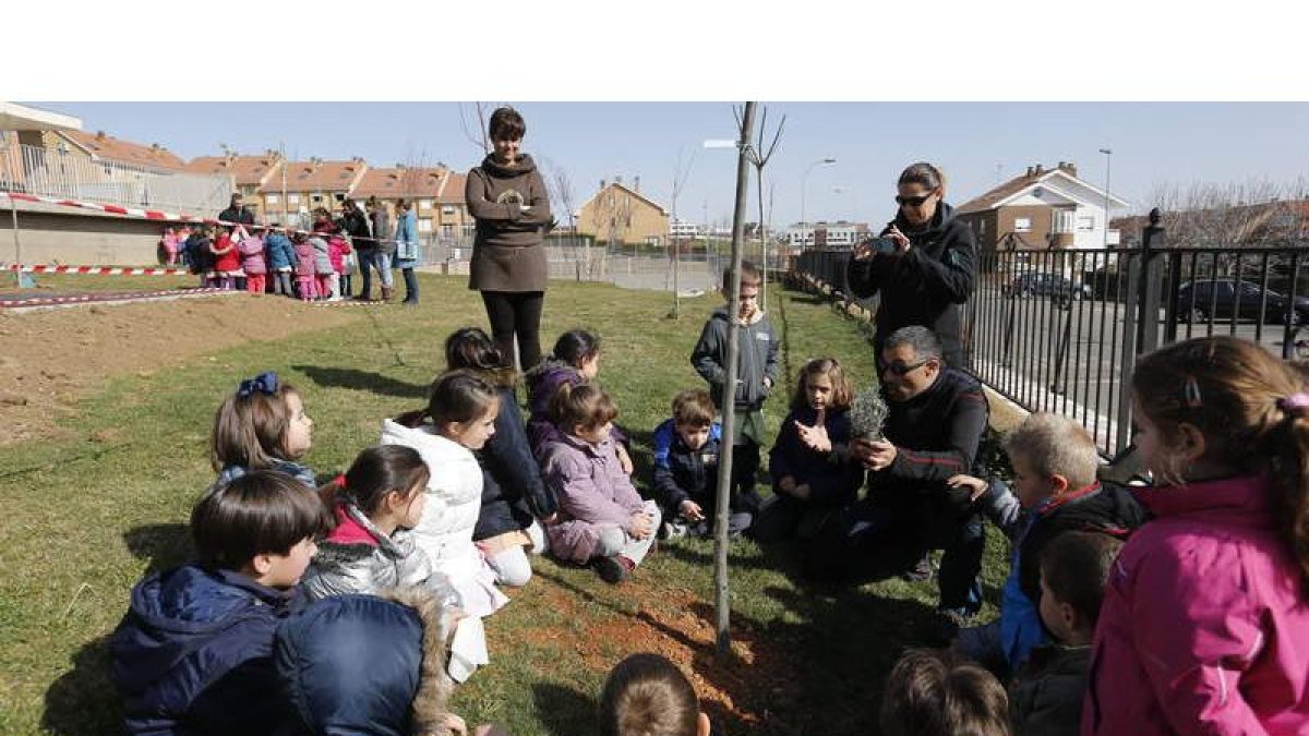 Los estudiantes del Villa Romana plantaron en su patio 25 árboles que les habían donado.