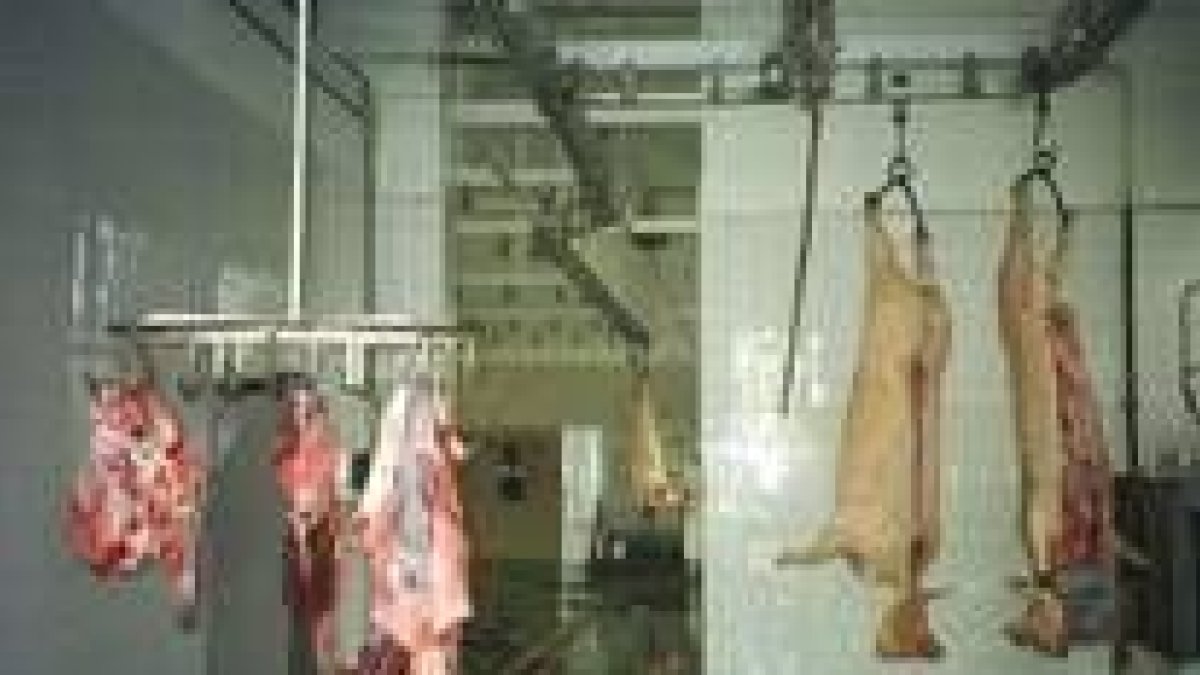 La imagen muestra parte de las instalaciones del matadero municipal de Villablino