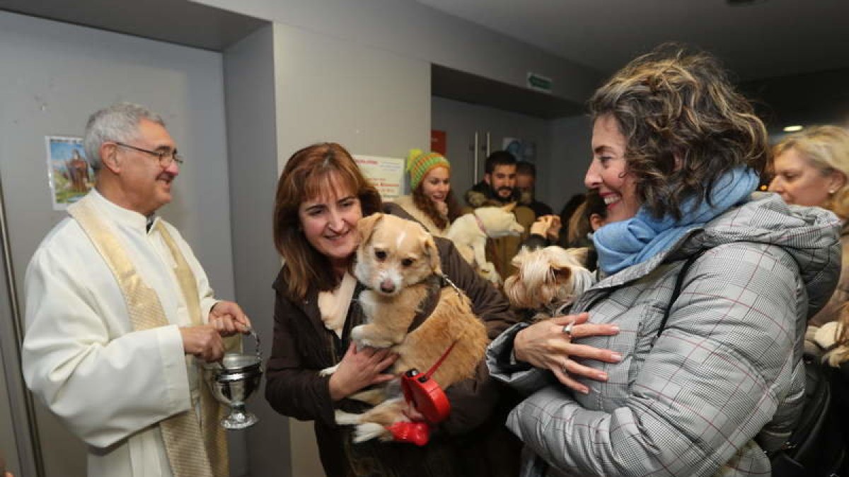 Las mascotas son las protagonistas. L. DE LA MATA