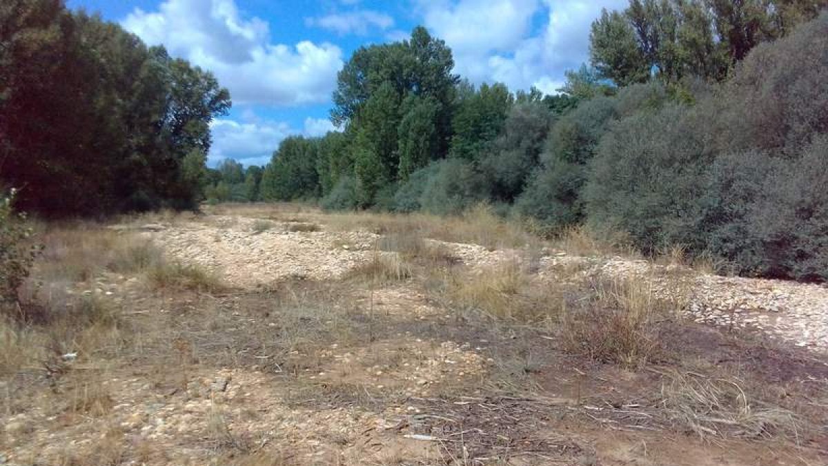 Las zayas que riegan el municipio permanecen sin agua desde el pasado mes de junio. DL