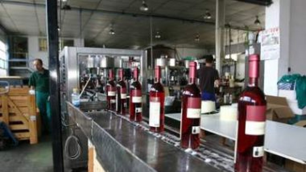 Las exportaciones de vino del Bierzo han ido en aumento, con incursiones en el mercado chino, en la
