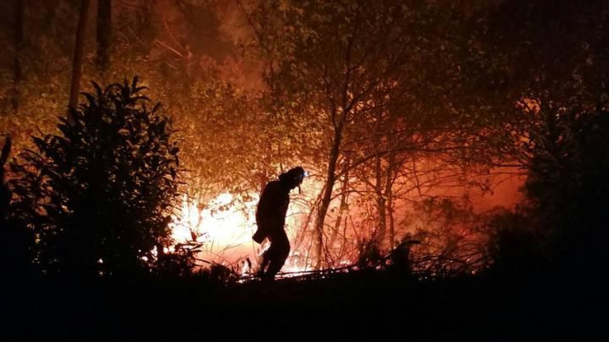 León sufrió el año pasado uno de los veranos más duros en la propagación de incendios