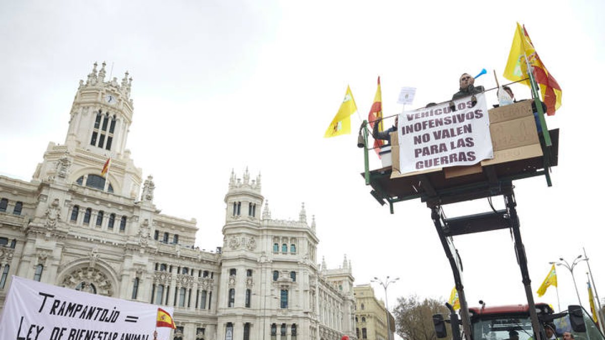 Manifestación por la defensa del campo español este domingo en Madrid. LUCA PIERGIOVANNI