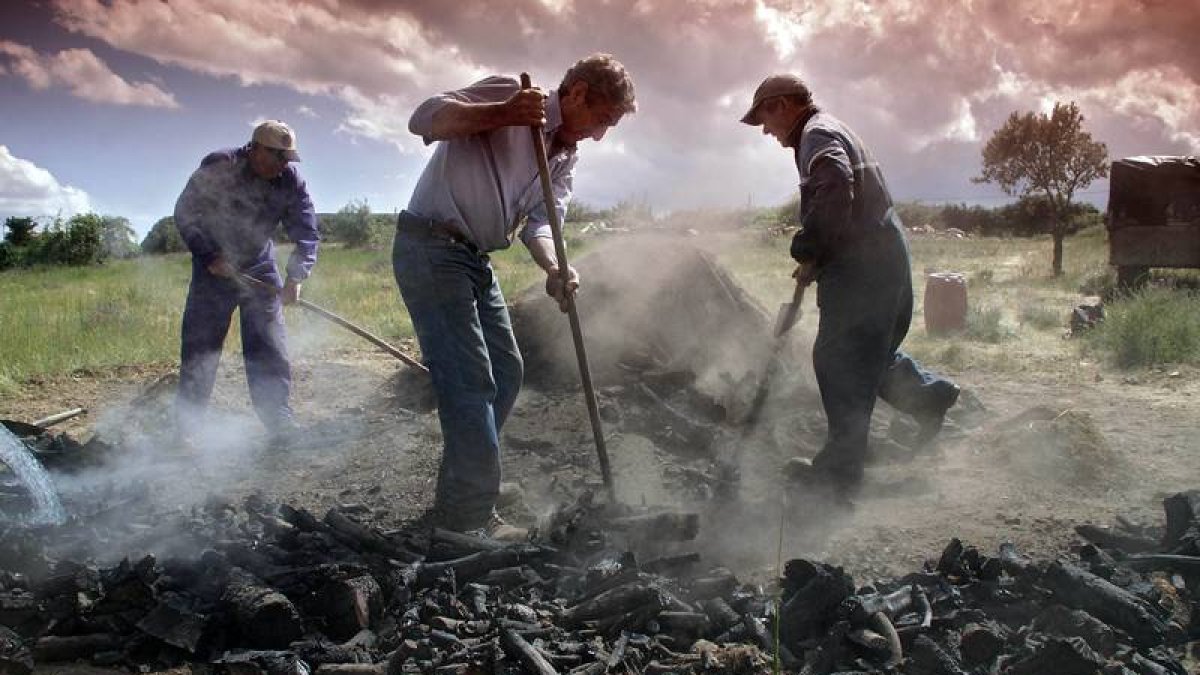 Elaboración de carbón vegetal, en Lagunas de Somoza con la demolición del horno y recogida del carbón