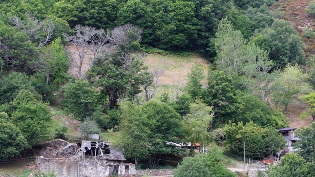 Lugar de inicio del incendio que arrasó la localidad de Suertes, en el municipio de Candín (León), del que se cumplen 50 años