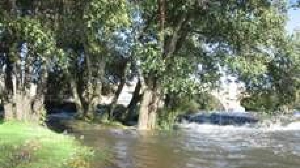 El Órbigo, cargado de agua en los últimos días, se ha metido en la playa del puente de la Vizana