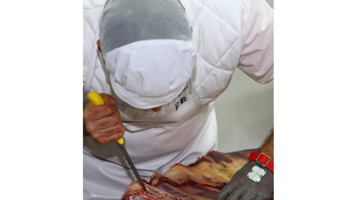 Un operario trabaja en un lineal de despiece de carne. RAMIRO
