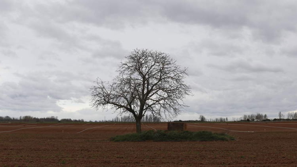 Terrenos transformados en regadío en el sur de León. JESÚS F. SALVADORES