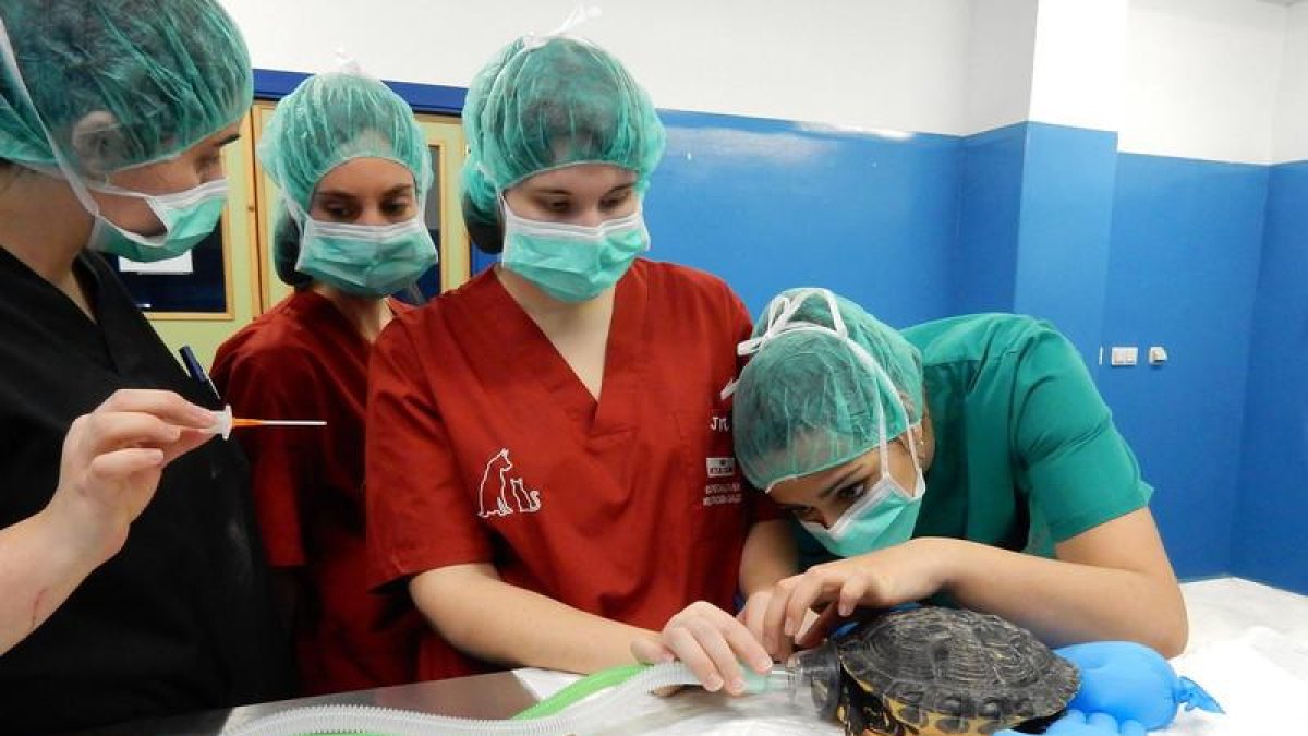 Alumnas en el Hospital Veterinario de la Universidad de León.