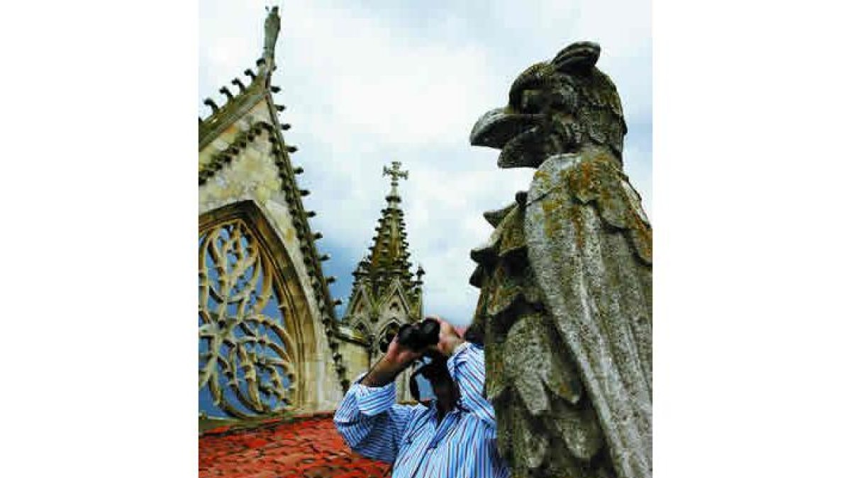 Avistando aves sobre los tejados de la Catedral de León.