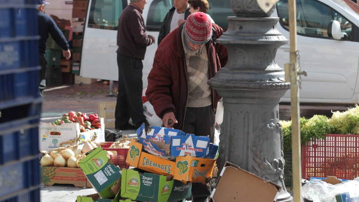 Una persona recoge alimentos tirados en la Plaza Mayor de León. RAMIRO