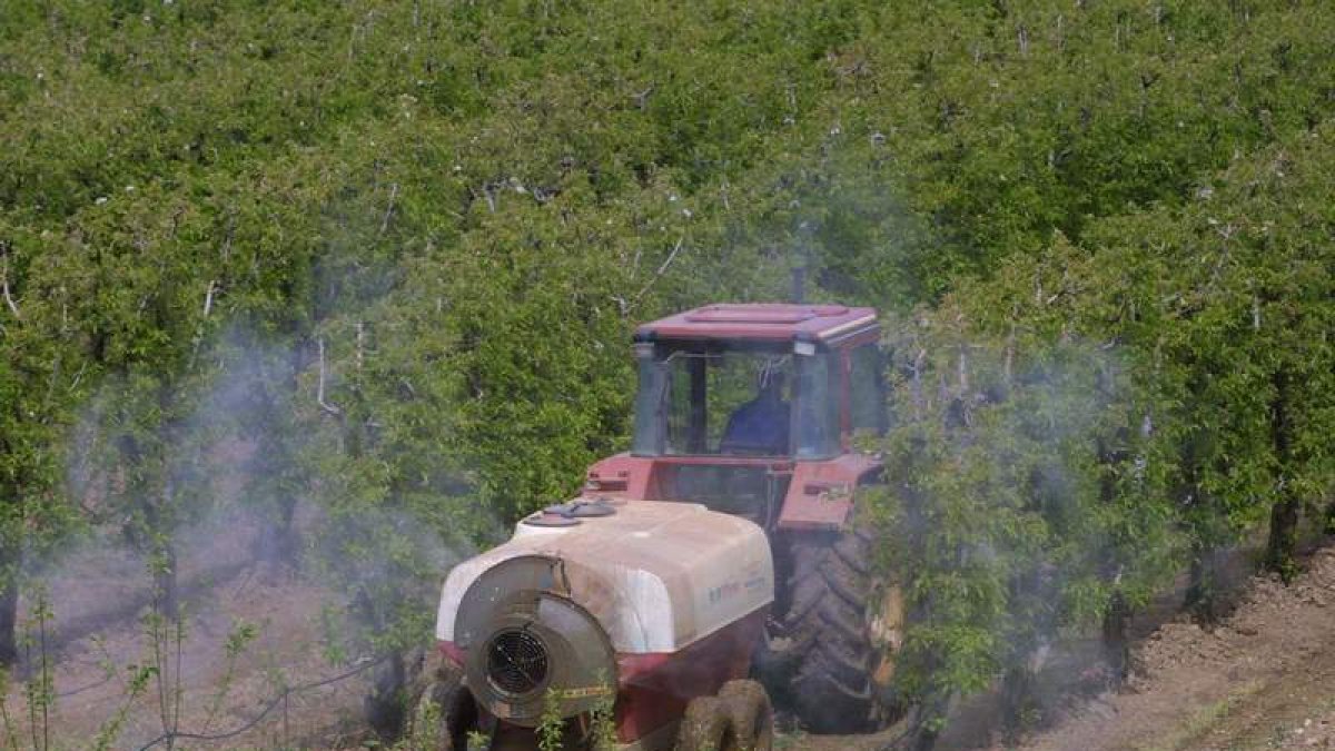 Un agricultor aplica un tratamiento a una plantación de manzanos en el Bierzo