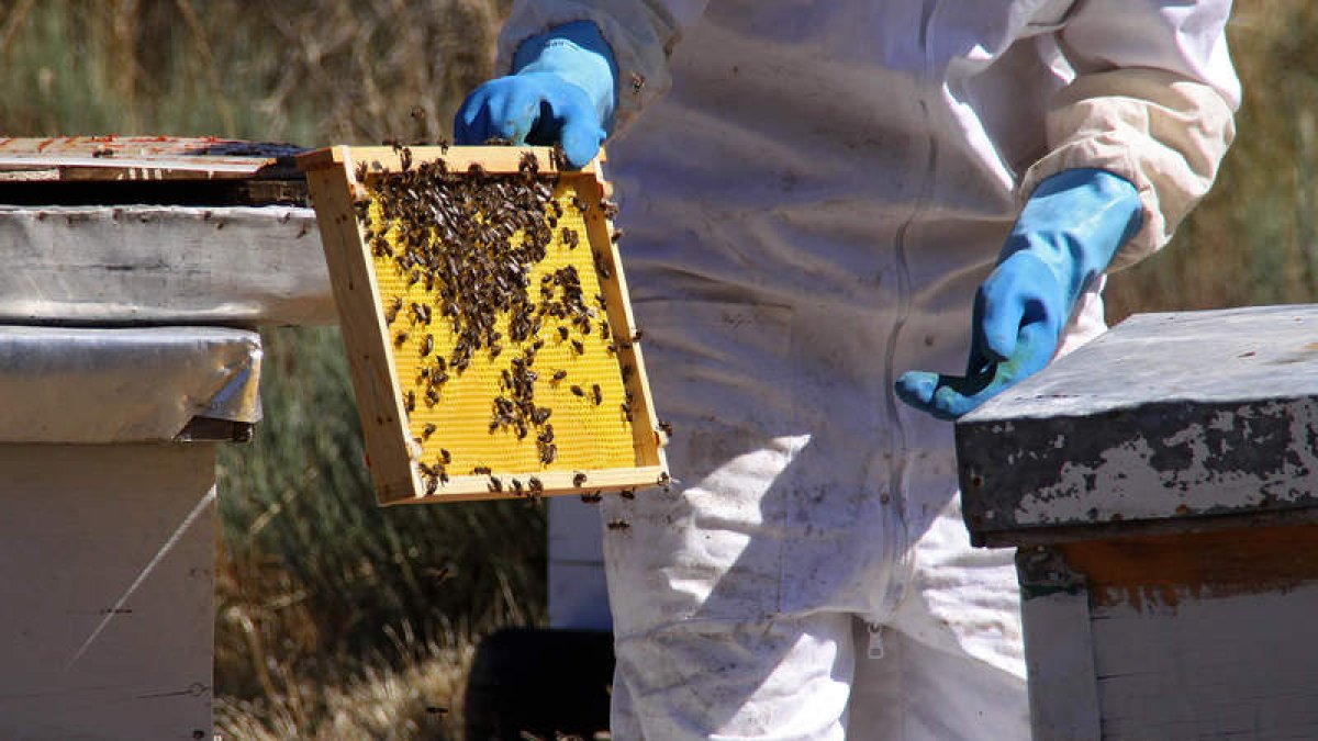 Una emplada comprueba la calidad del producto. PEIO GARCÍA