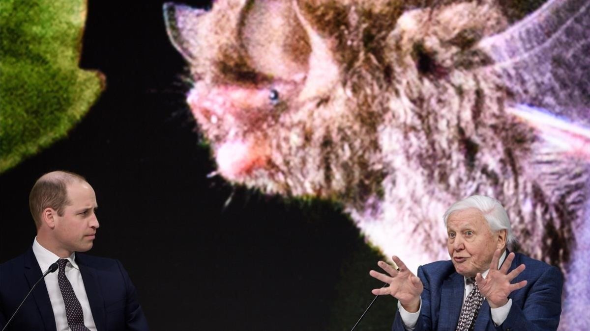El príncipe Guillermo y David Attenborough en el Foro Económico Mundial de Davos.