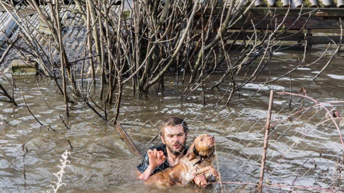 Arturo Oliveira se sumergió en el agua para rescatar a un perro asustado por el desbordamiento del Boeza en Bembibre.