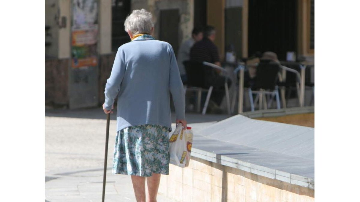 En el Bierzo hay 31.997 cotizantes para 36.528 pensionistas.