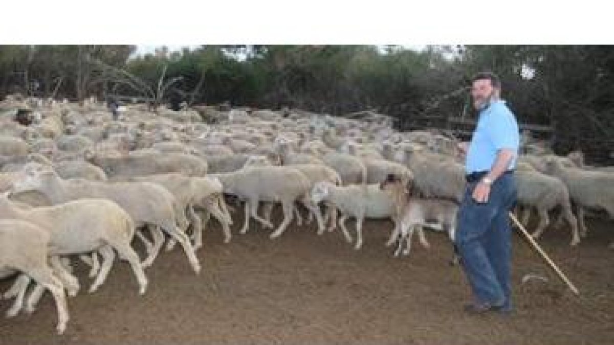 Un rebaño transterminante en la provincia de León, afectado por los daños de la vacuna contra la len