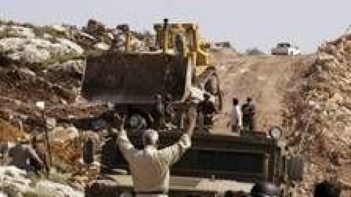 Un palestino se pone delante de una excavadora para intentar que no destruya las plantaciones