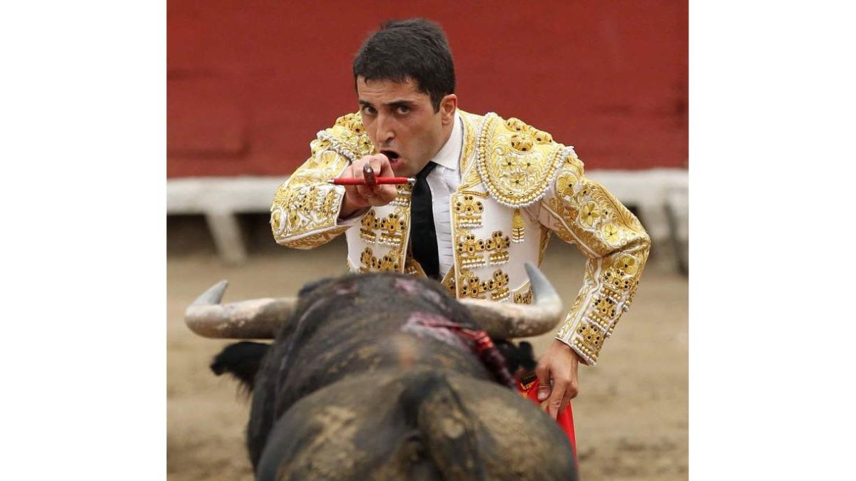 Javier Castaño ha conseguido importantes triunfos con las ganaderías más duras.