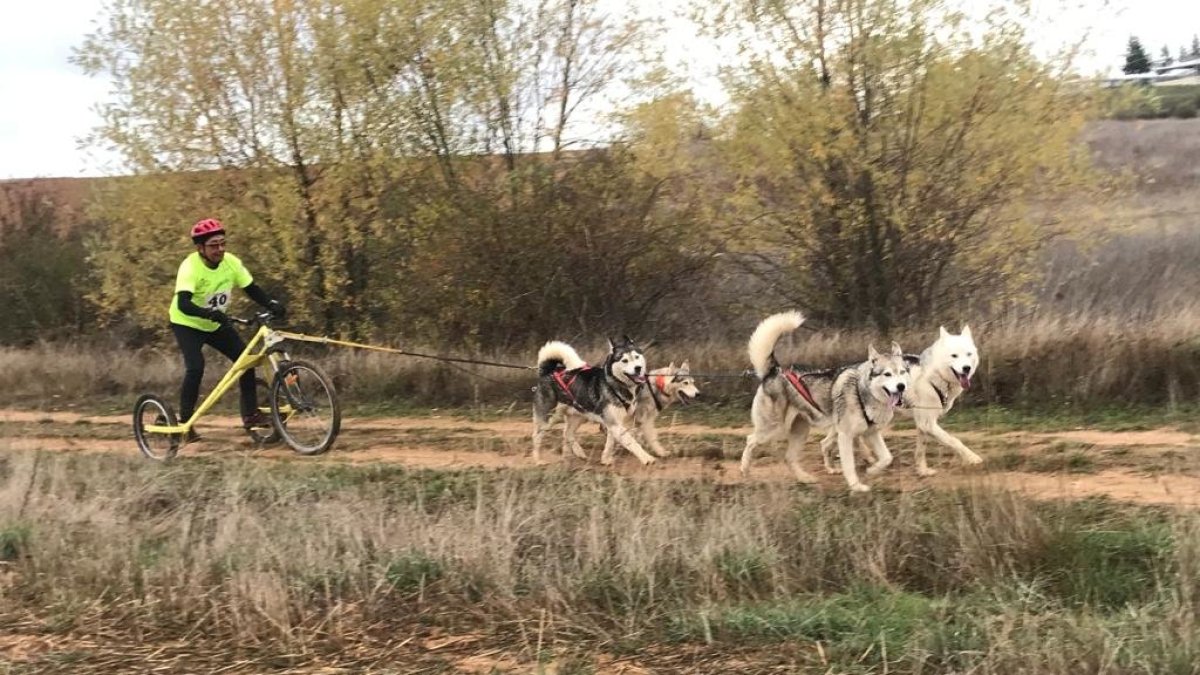 Un momento de la jornada de mushing del pasado domingo. DL