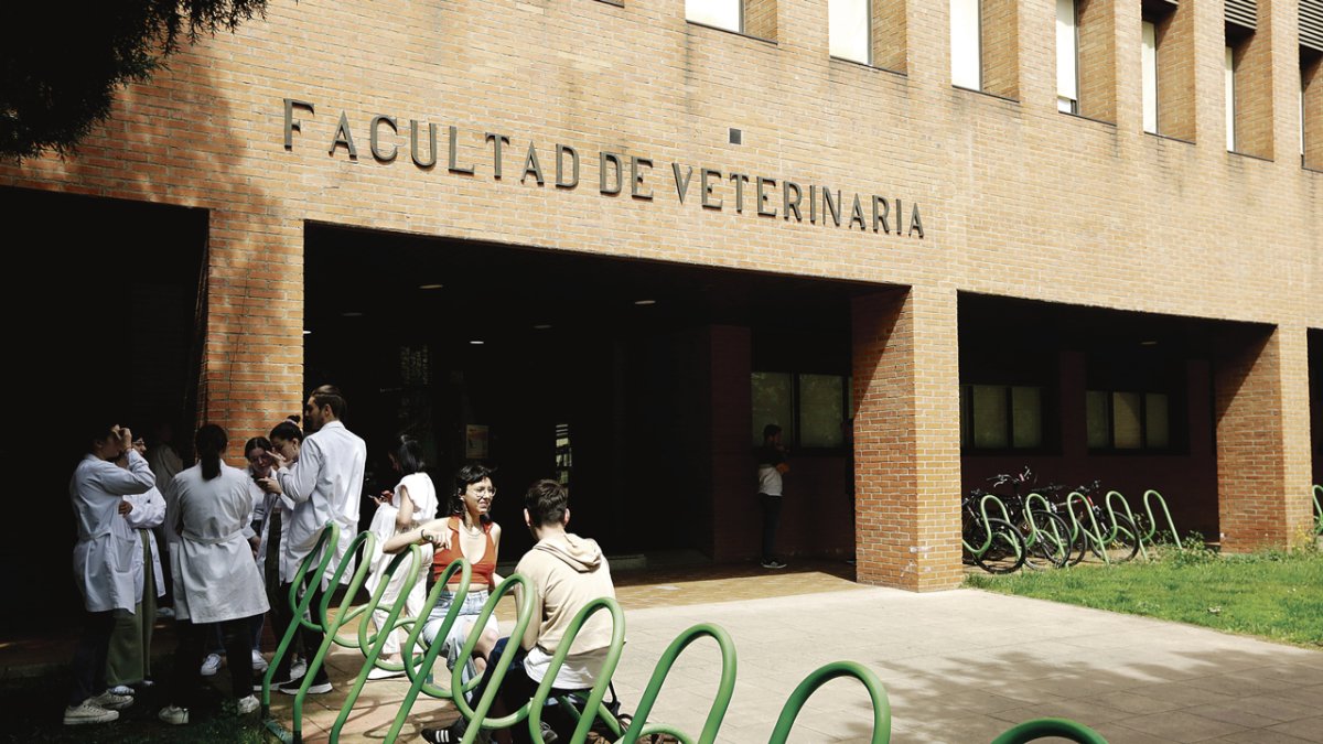 Alumnos a la entrada de la Facultad de Veterinaria, en el Campus de Vegazana. FERNANDO OTERO.