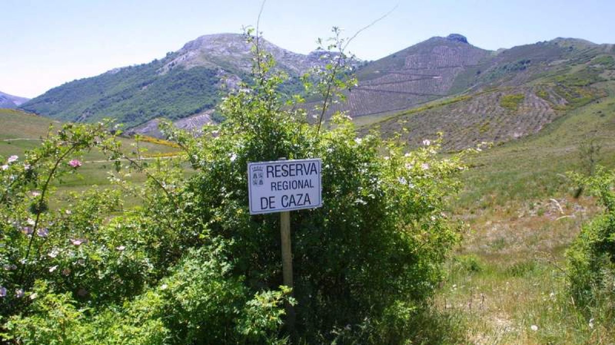 Imagen de archivo de la reserva de caza de Picos de Europa.