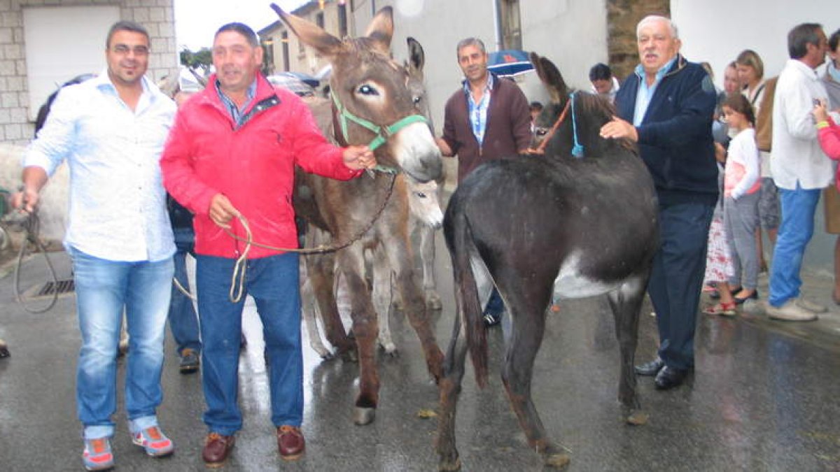 La lluvia obligó a aplazar la tradicional carrera de burros de Noceda del Bierzo.