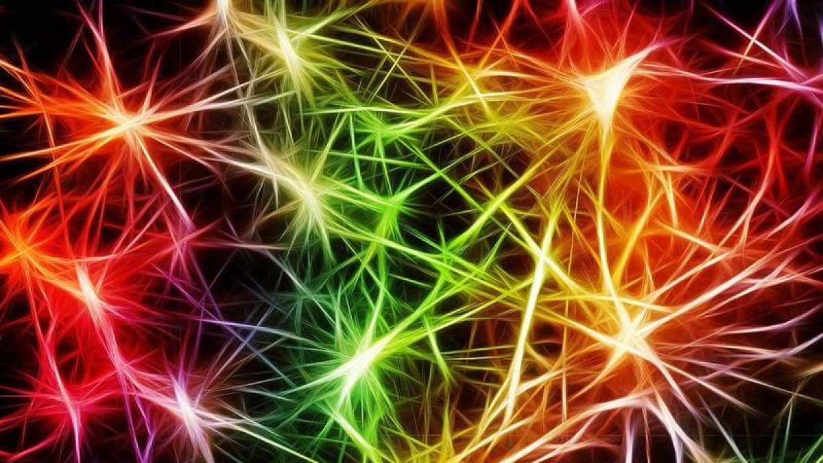 Una imagen coloreada de la conexión de las neuronas. GERALT/PIXABAY