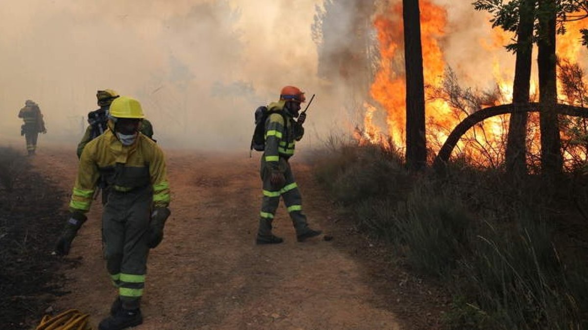 En 2022, uno de los peores años de incendios de la historia, ardieron 81.716 hectáreas en Castilla y León de las que 5.254 se concentraron en León. L. DE LA MATA