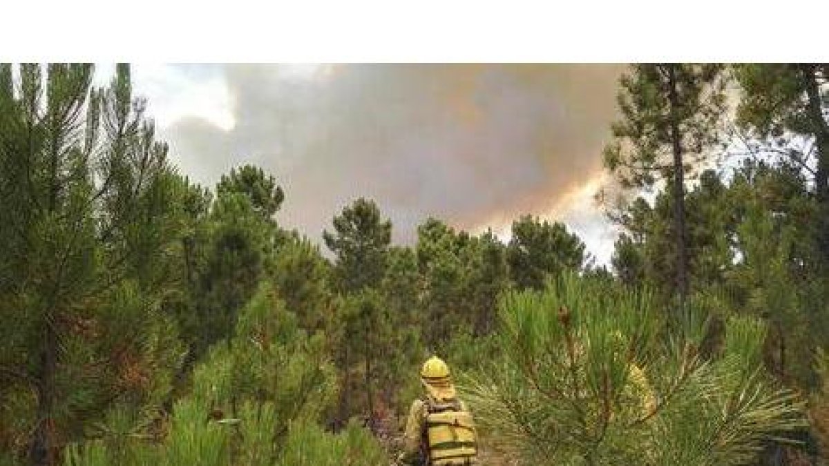 Incendio declarado en el pinar de Tabuyo tras caer un rayo poco después de la 1 de la tarde