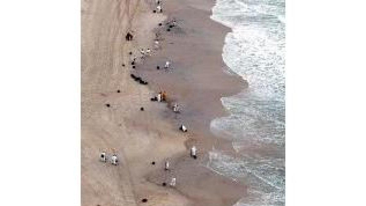 Voluntarios limpian la playa de O Grove