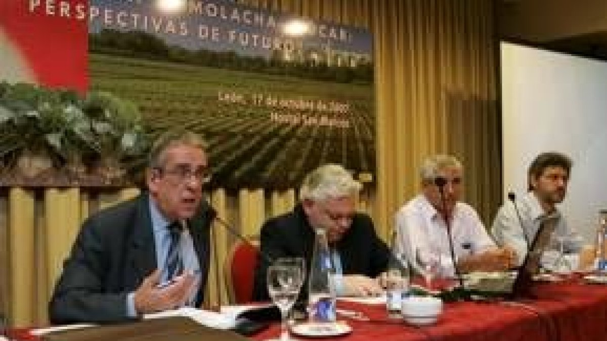 Diego Valle, de Ebro, Javier Narváez, de Acor, y Víctor González y Miguel Blanco, de Coag