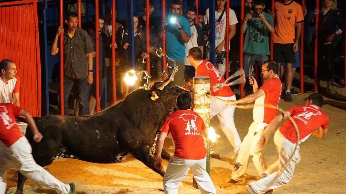 Espectáculo de toro embolado en Sant Jaume dEnveja, en el 2016.