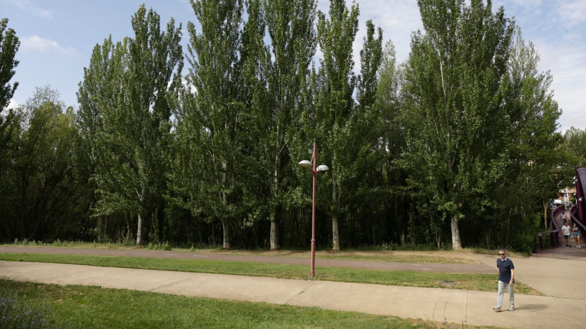 Parque del río Bernesga en Eras de Renueva. FERNANDO OTERO