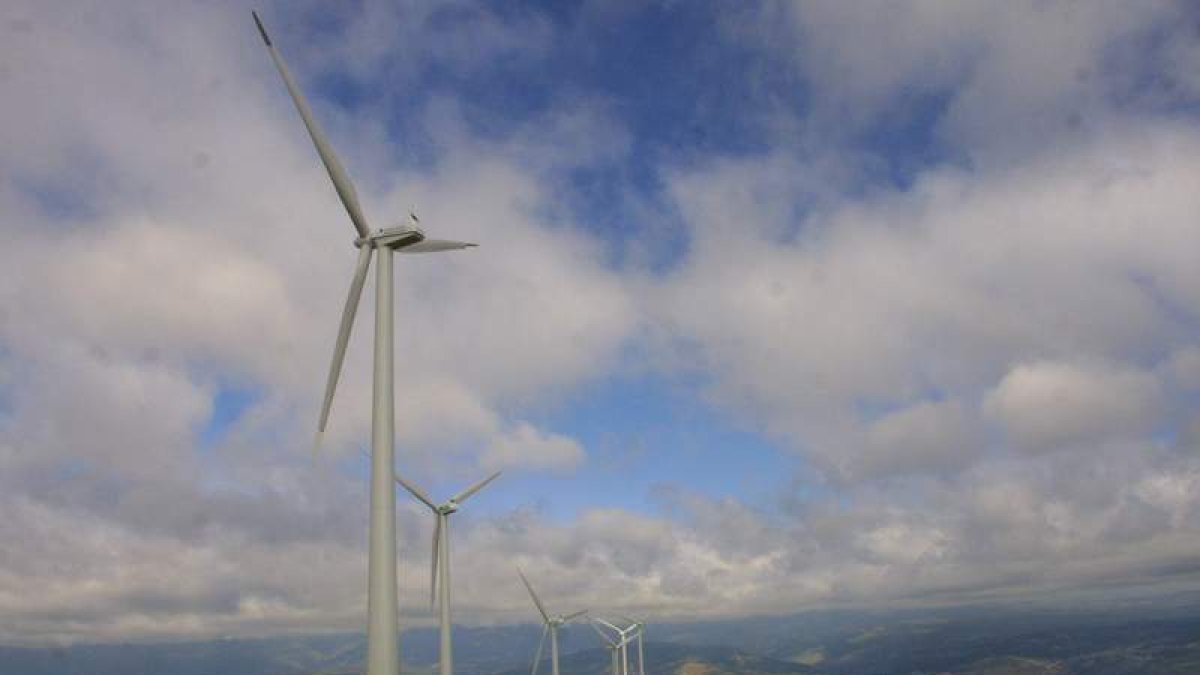 La SEO batalla contra los aerogeneradores por su impacto en el urogallo