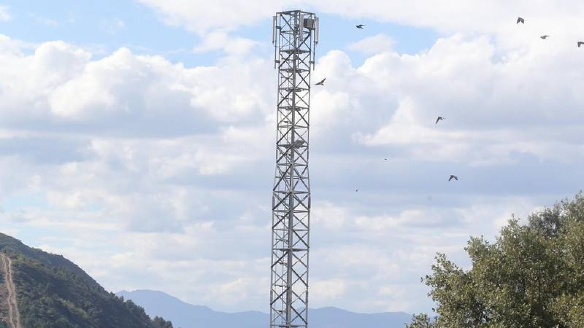 La antena de telefonía móvil instalada en Campo