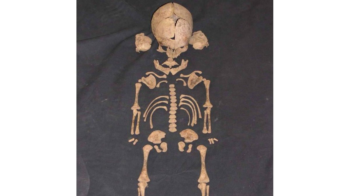 Imagen del esqueleto de la niña romana aparecida en la calle Fernando Regueral.