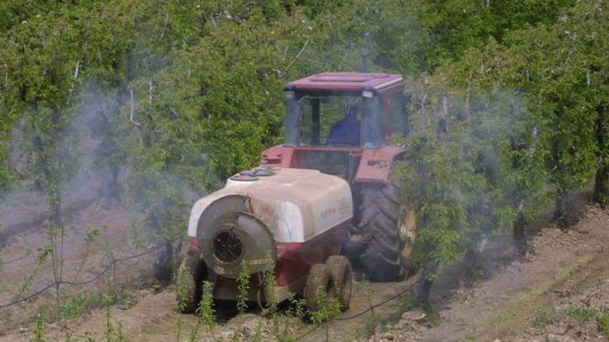 Un tractor fumiga una parcela de manzanos en el Bierzo central, en una imagen de archivo.