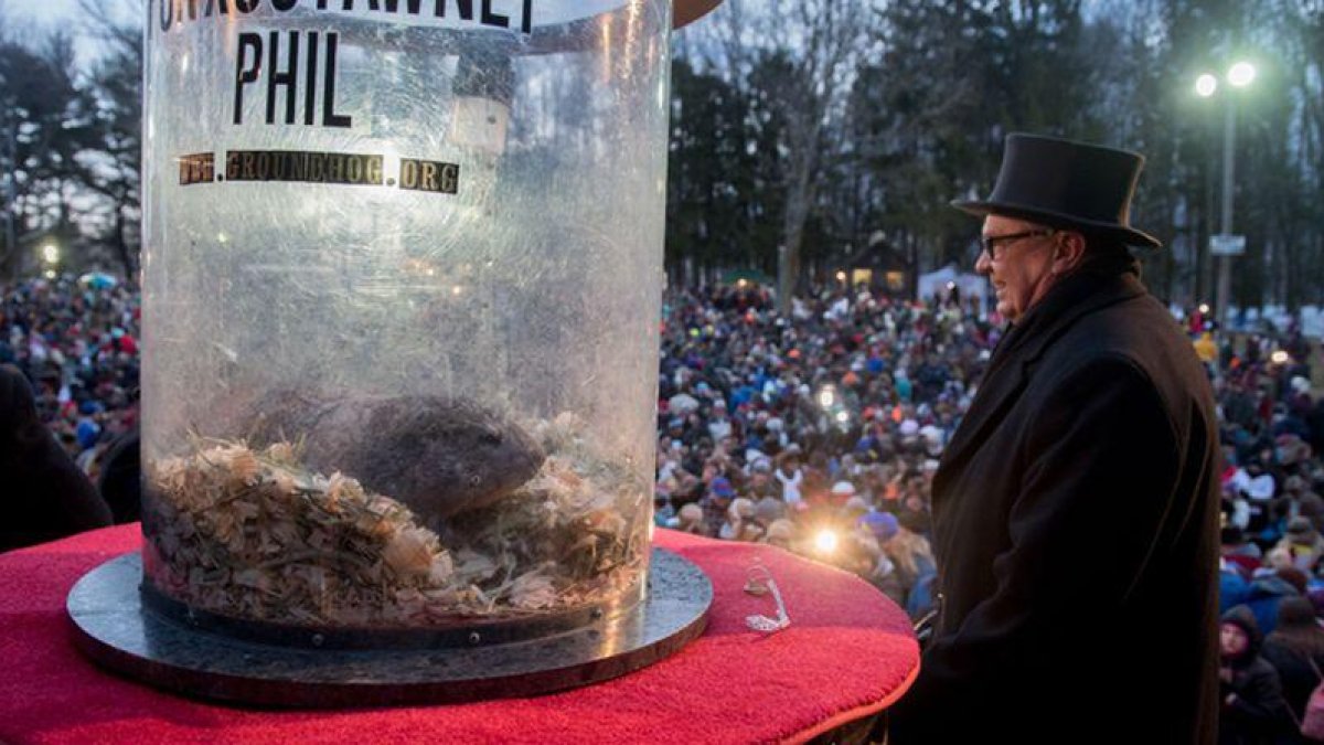 La marmota Phil predice un largo invierno.