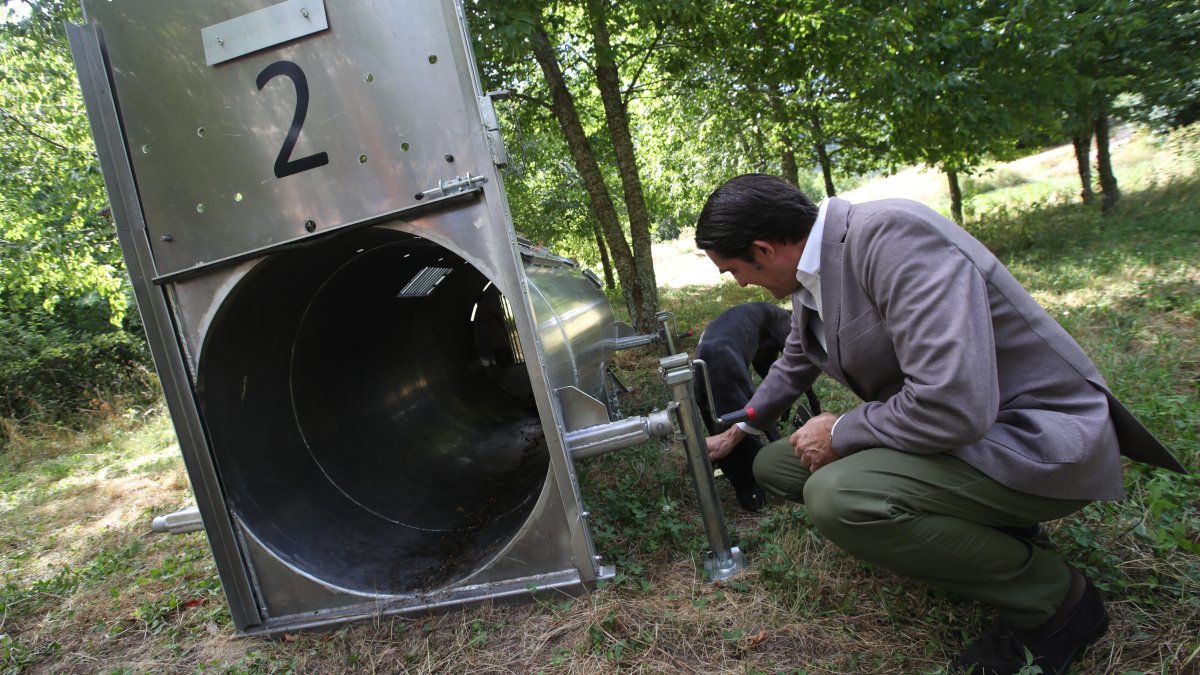 Dos plantígrado se han paseado por las calles de Tejedo del Sil  a finales del julio y el consejero de Medio Ambiente presenta un plan para ahuyentarlos que incluye trampas para instalarles sistemas de radio control y perros rastreadores