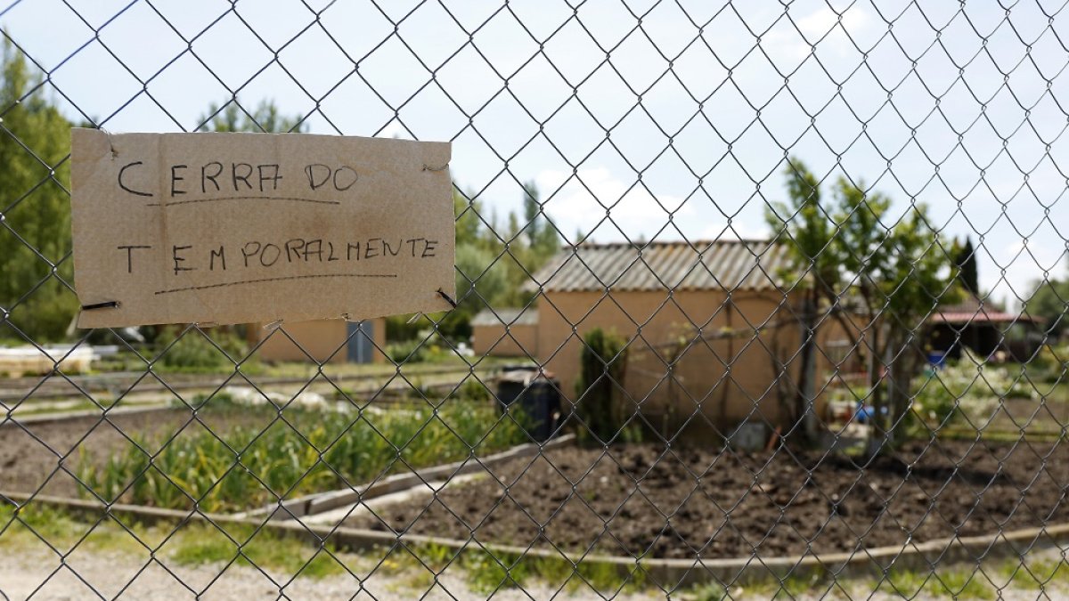 Huertos municipales de León en el parque de la Candamia, durante la crisis sanitaria por el coronavirus. F. Otero Perandones.