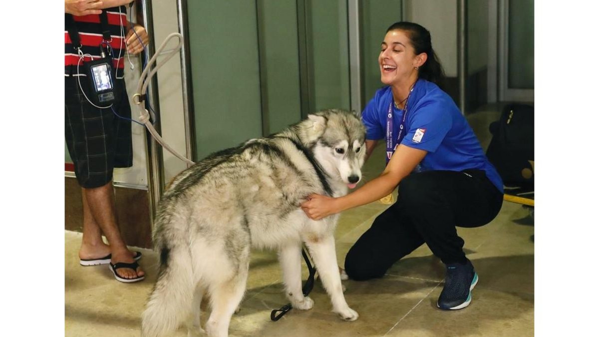 Carolina Marín acaricia a uno de sus dos perros, a la llegada a Barajas. /