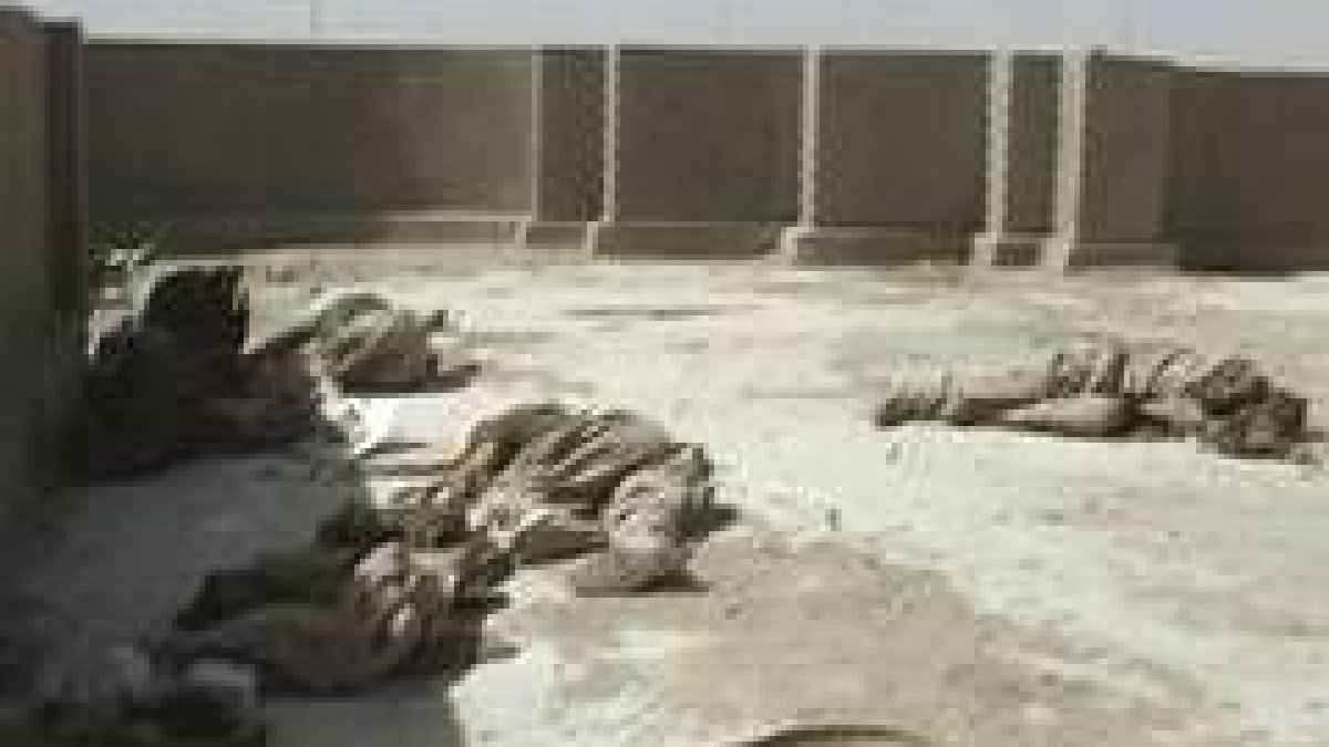Los cadáveres de los marines americanos yacen en Ramadi