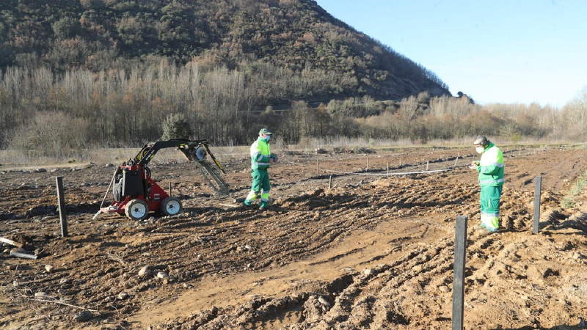 Dos trabajadores acondicionan el terreno para los huertos urbanos en una imagen de ayer. L. DE LA MATA
