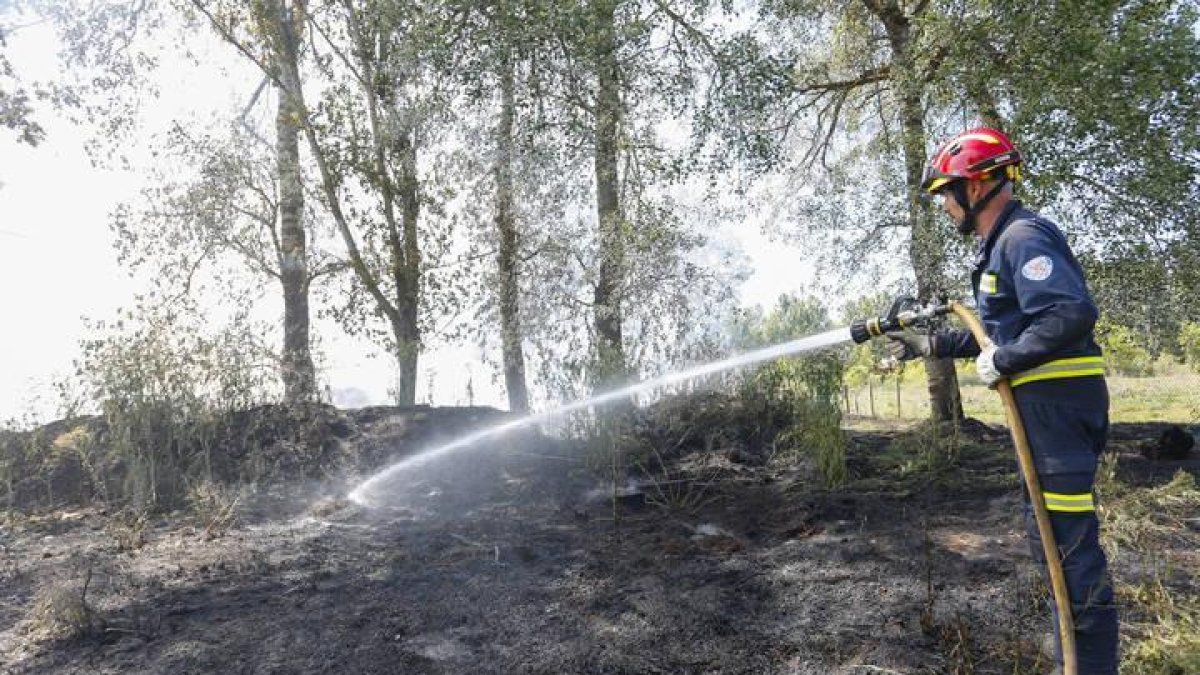 Los bomberos de León en plena faena